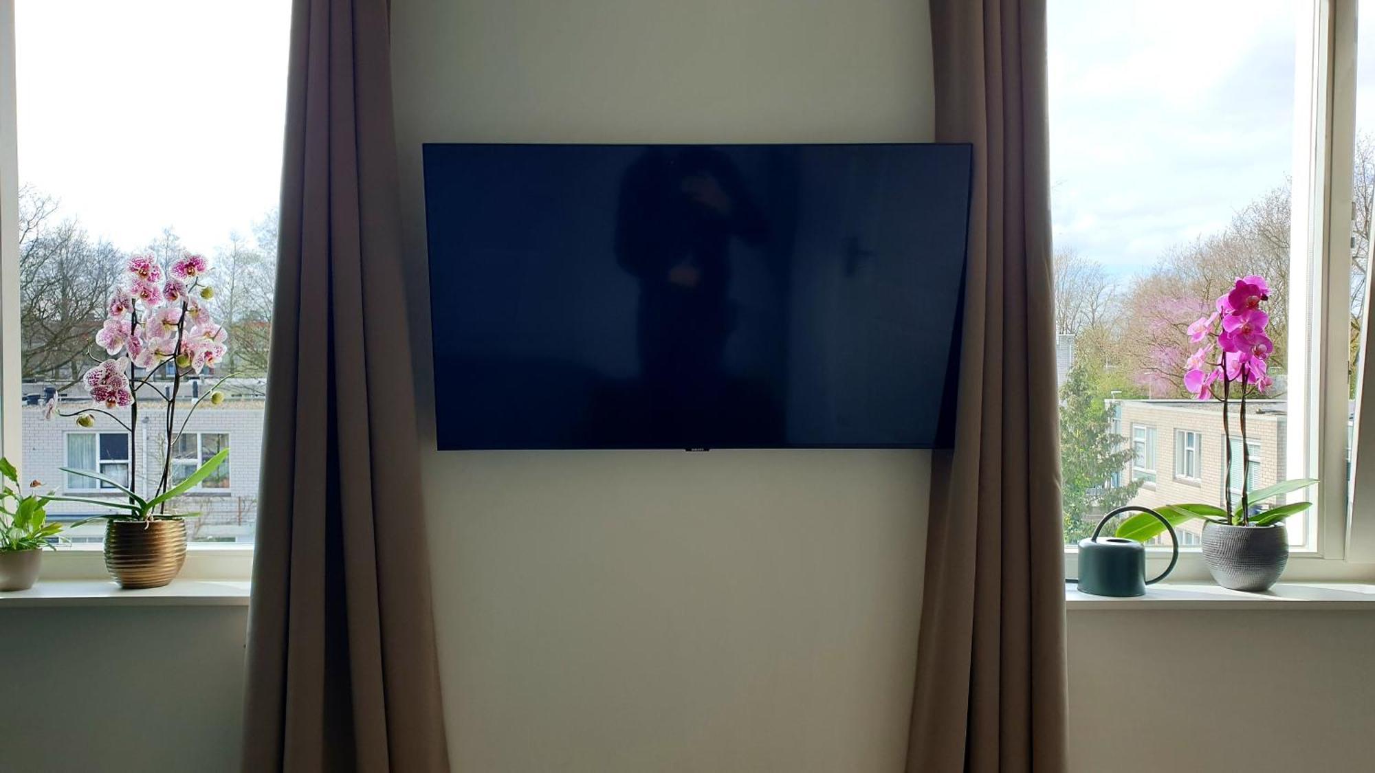 אמסטרדם Amor Guesthouse מראה חיצוני תמונה